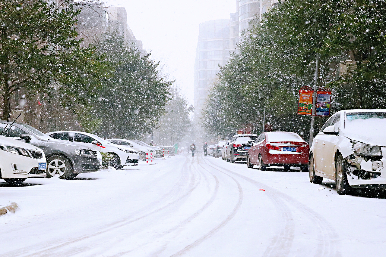 冬-真的是一场好久不来的鹅毛大雪