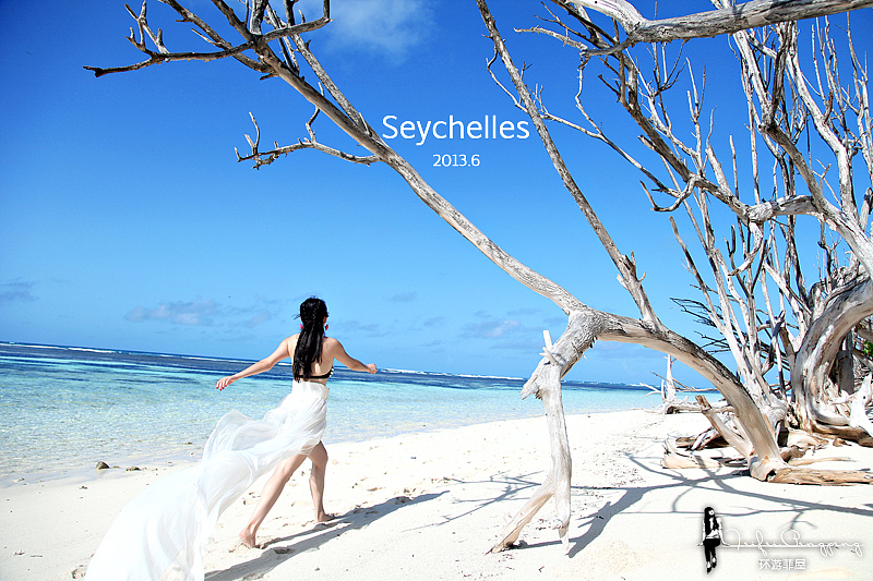 塞舌尔拍媳妇儿