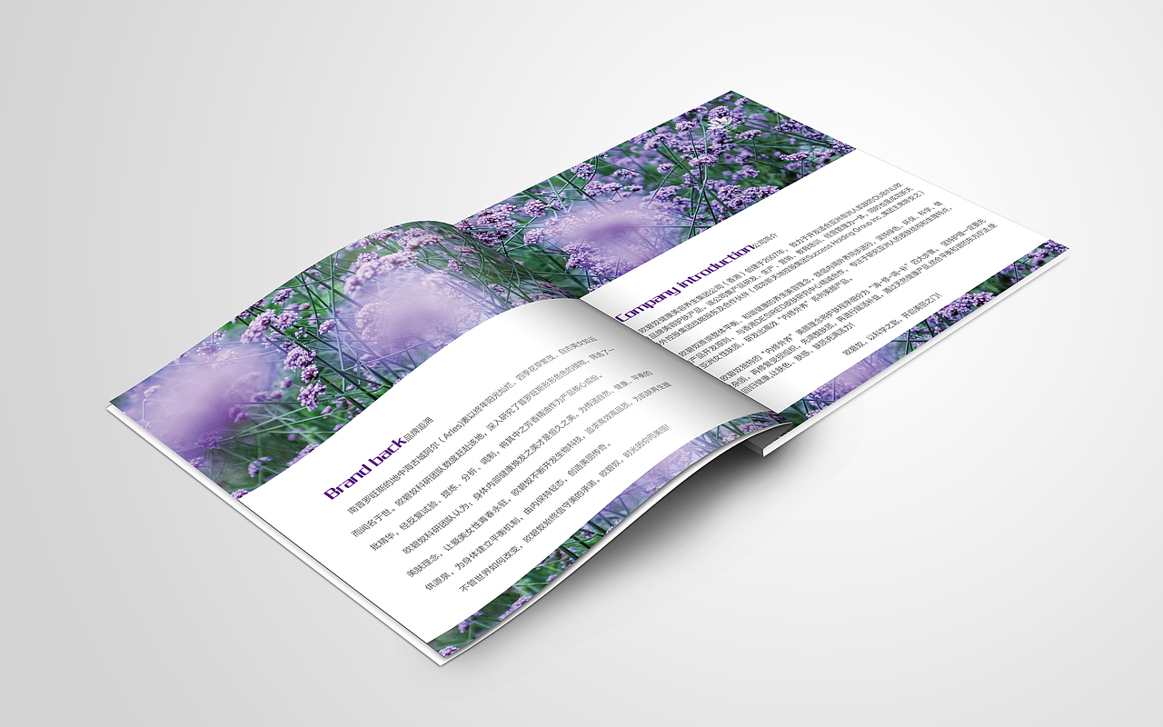 美容手册（图ZMzI5NjAyMjA=） - 书籍/画册 - 站酷设计师Badsun原创素材 - 站酷ZCOOL