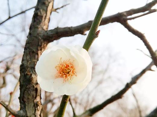 流光容易把人抛