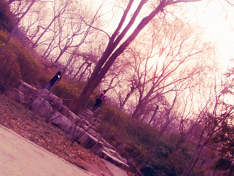 2013年3月16号植物园游记