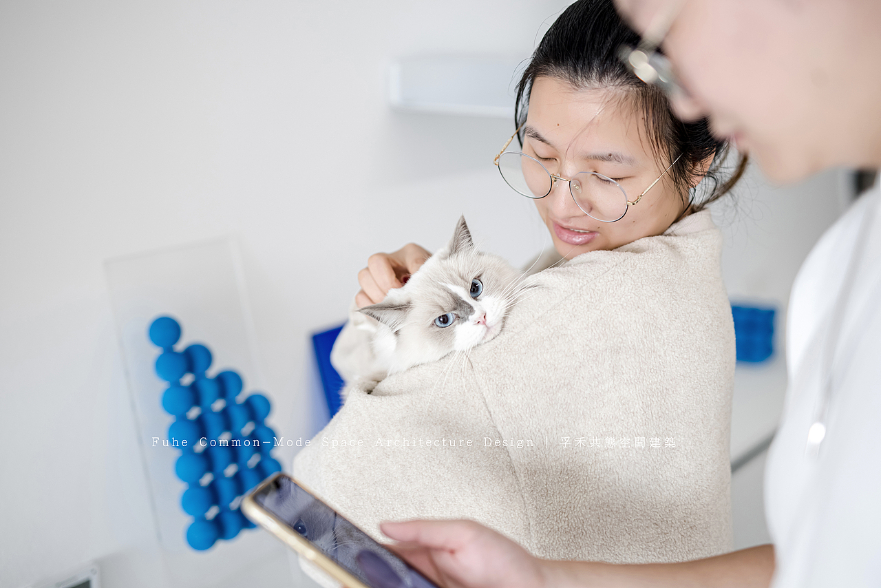 孚禾共态空间建筑设计 | 逆鳞（图ZMjc4MDEwMzMy） - 家装设计 - 站酷设计师孚禾共态空间建筑原创素材 - 站酷ZCOOL