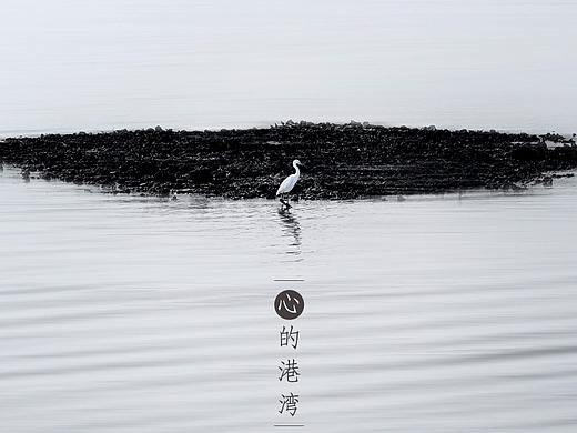 心的港湾