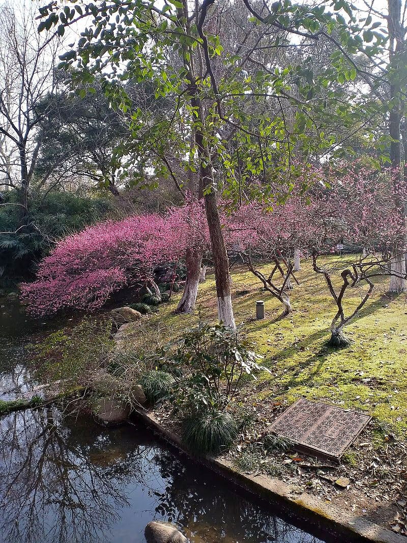 杭州.柳浪闻莺公园（2月打卡）（图ZMzY0Mjk3NDk2） - 风光摄影 - 站酷设计师东逛西摄原创素材 - 站酷ZCOOL