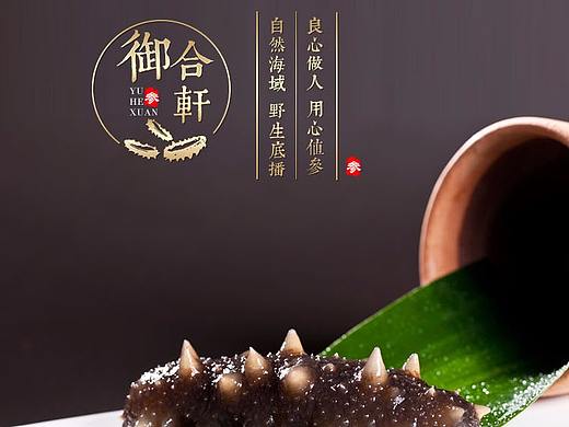 海参详情