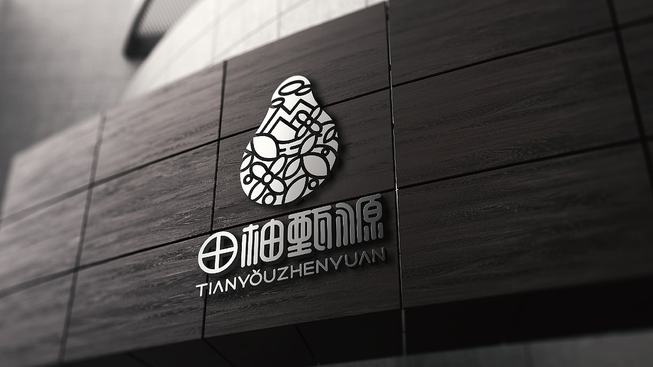 田柚甄源logo设计提案-飞机稿（图ZMTc1MTY1OTAw） - Logo - 站酷设计师黑璞设计原创素材 - 站酷ZCOOL