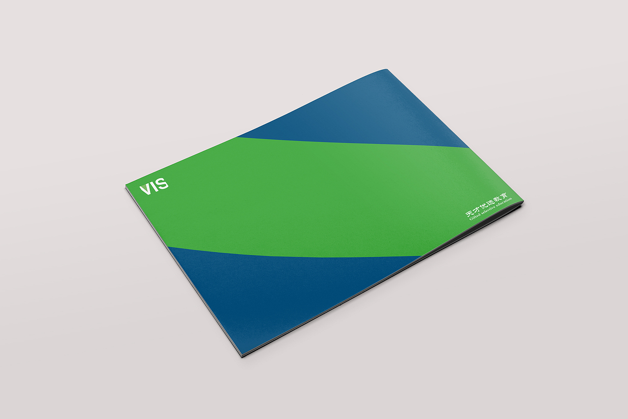 天才优选教育vi系统