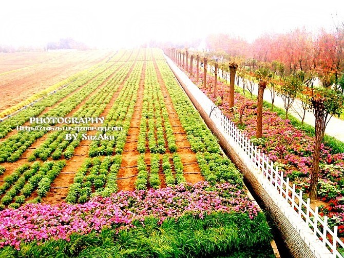 一些旅游时用手机拍的摄影作品,P过的