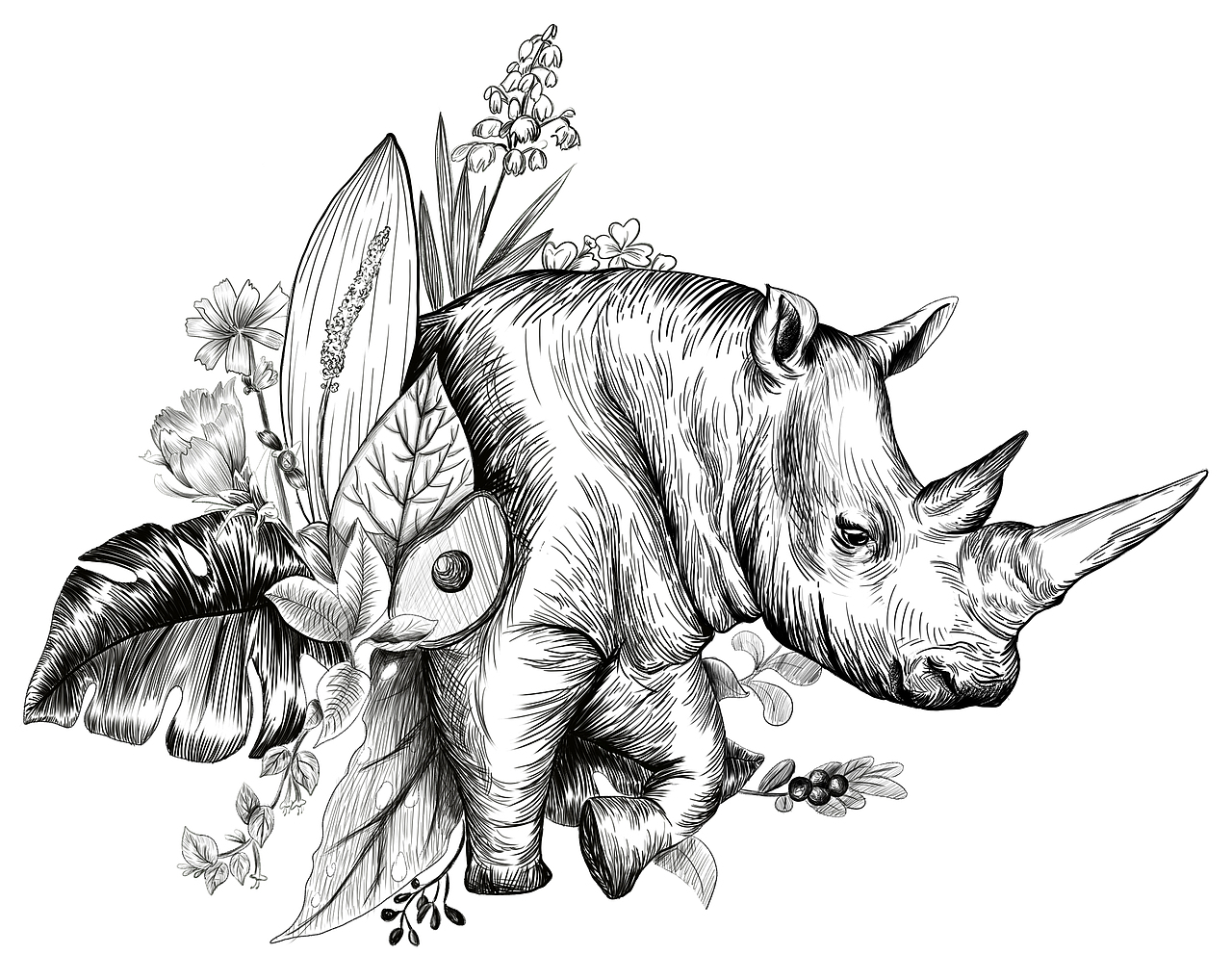 给爱宠最完美的爱——珍味之王璀璨系列包装设计