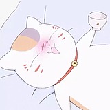 孤独的代表zuo的头像