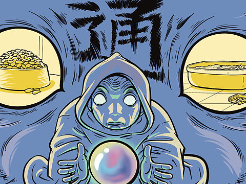 宠物通灵