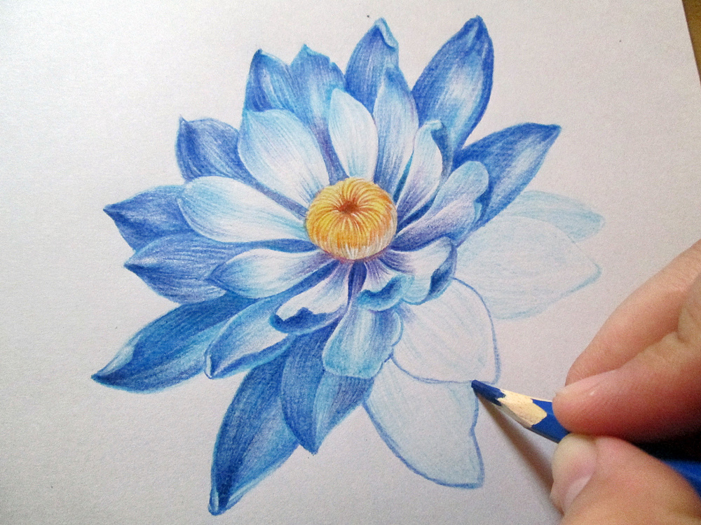 【《心经》和莲花】 手绘过程|纯艺术|绘画|傅淳强 - 原创作品 - 站酷