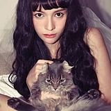 一只有刘海的猫的头像