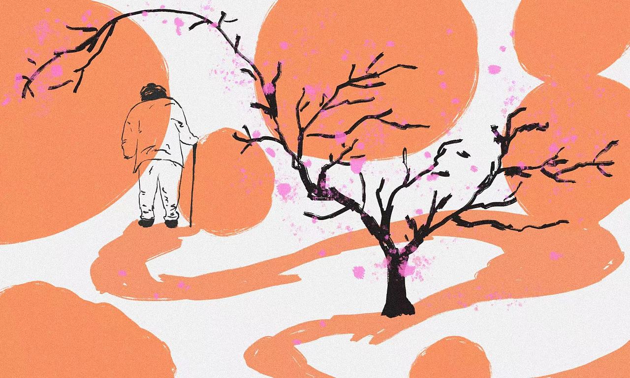 关于姥爷和杏树|插画|绘本|山前an - 原创作品 - 站酷 (zcool)