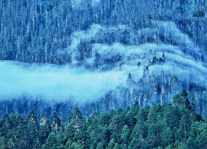 2016不辜负最美的时光（图ZNjc1NDk1NTY=） - 风光摄影 - 站酷设计师此心向风原创素材 - 站酷ZCOOL