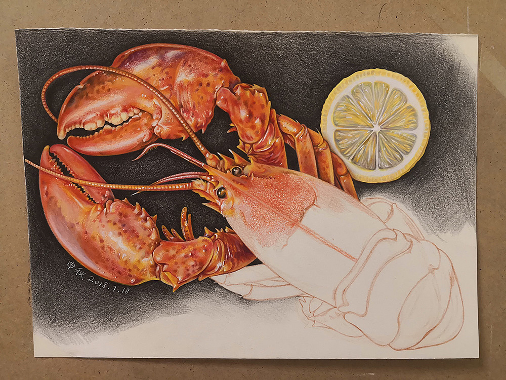 彩铅《龙虾》（图ZMTIyNzE0OTg4） - 绘画 - 站酷设计师申秋原创素材 - 站酷ZCOOL