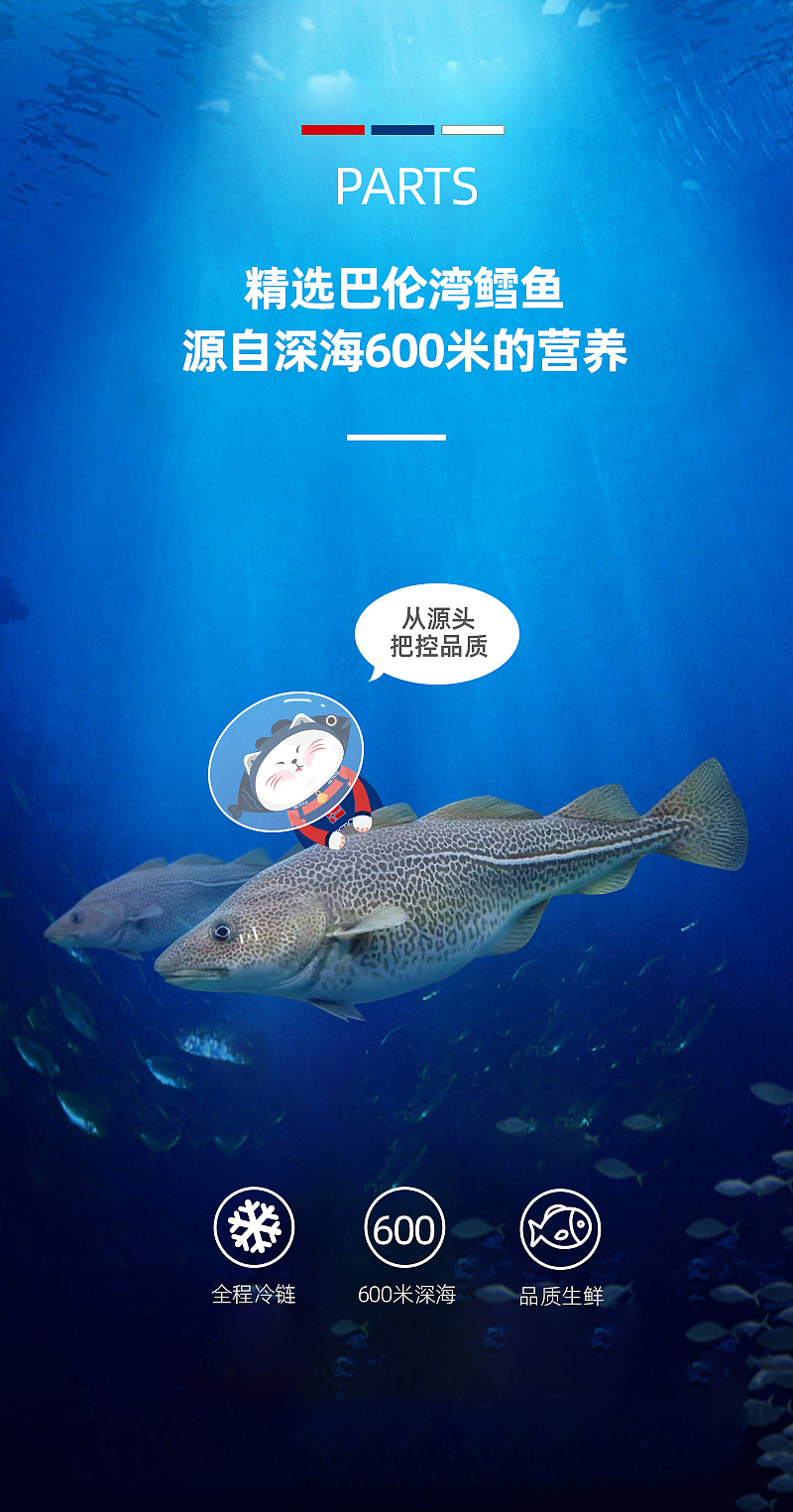 宝宝鳕鱼详情页（图ZMjQwODcyNTY4） - 电商 - 站酷设计师该名称不存在原创素材 - 站酷ZCOOL