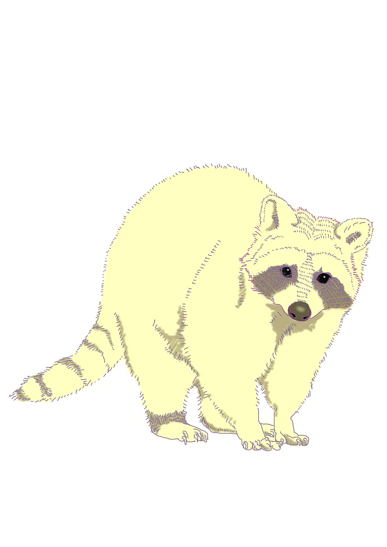 手绘小动物小猫小浣熊牛耕