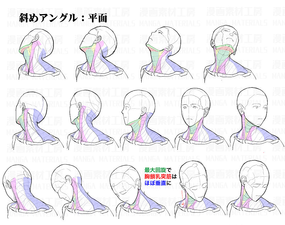 「素材」首の骨と筋肉変化+首可動のフリ part 01