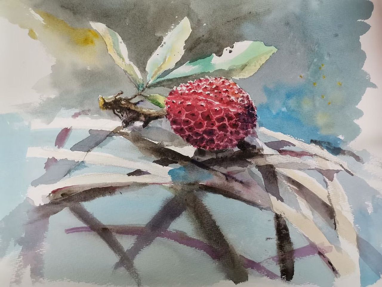 水彩写生/临摹/创作