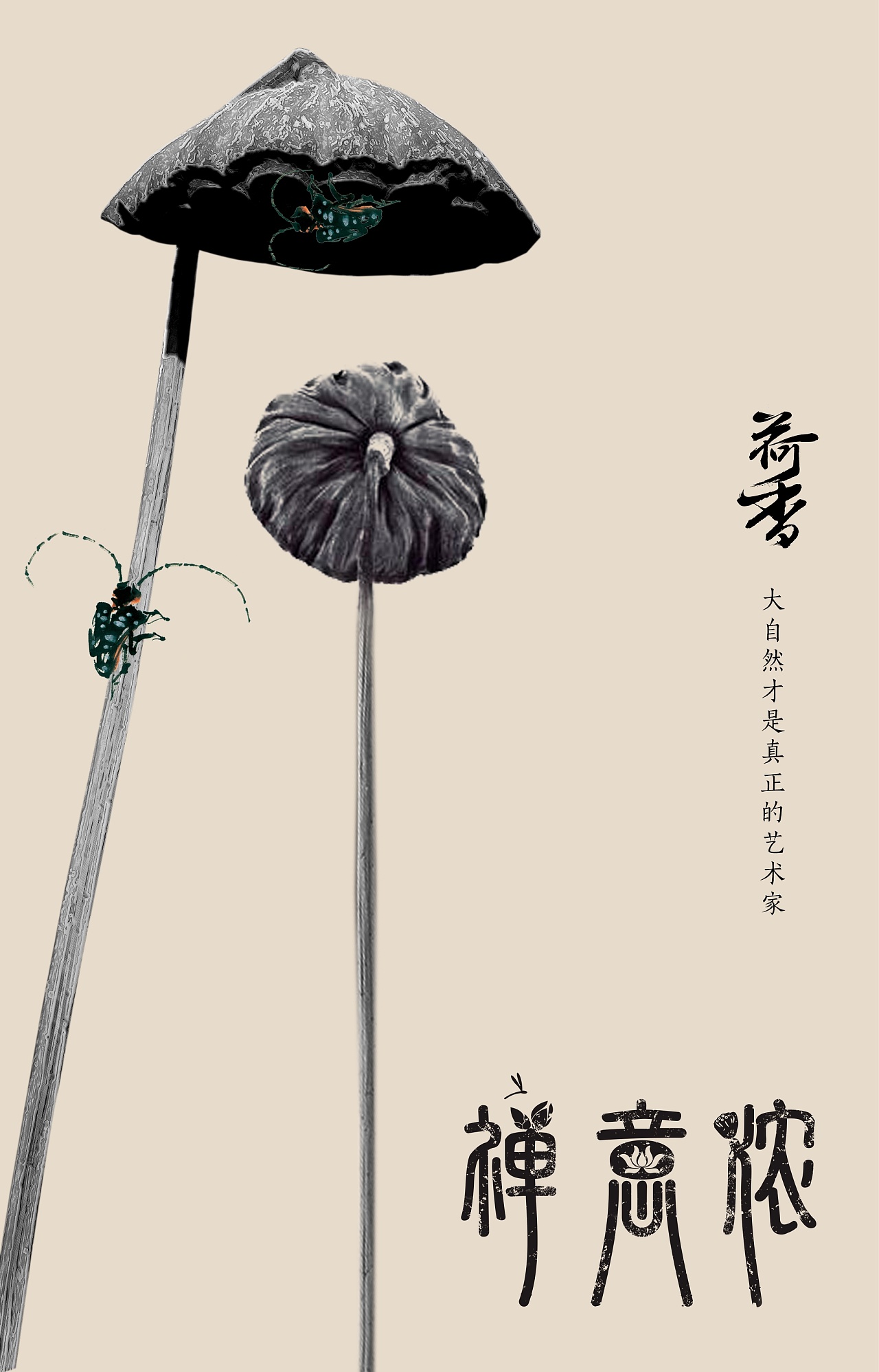 禅意浓·荷香海报系列设计(原创)|平面|海报|明视角 - 原创作品