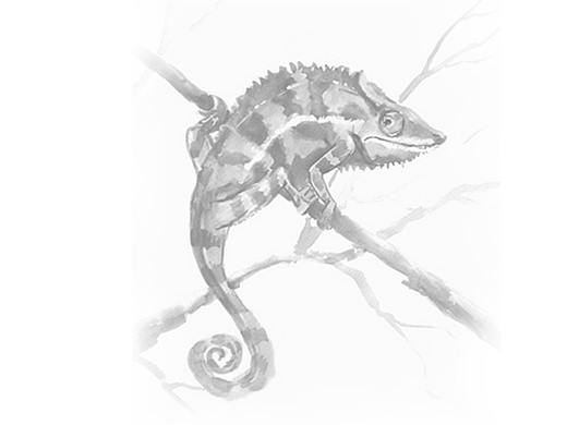 【作品集-平面】（个人主页-ZMzEwNTAyOTY=） - 其他平面 - 站酷设计师给我切西瓜原创素材 - 站酷ZCOOL