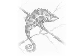 平面设计作品集