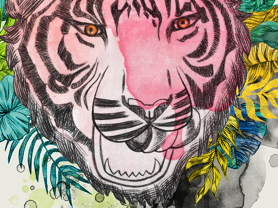 Hitiger (炭笔水彩画)（图ZMTIyMTM4MTQ0） - 绘画 - 站酷设计师lilyzou原创素材 - 站酷ZCOOL