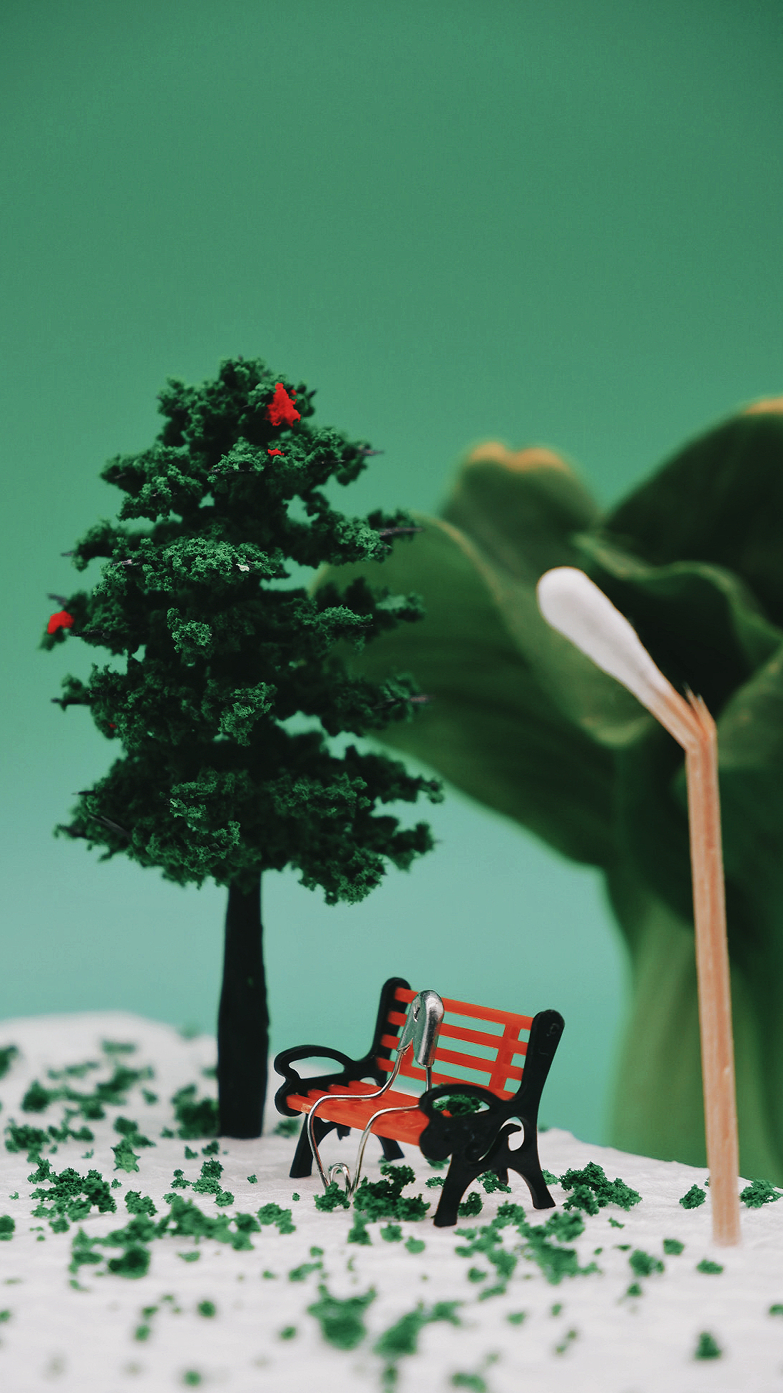 在家没事系列---静物摄影,微观摄影,微观世界