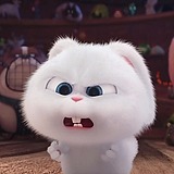 Chen_fx的头像