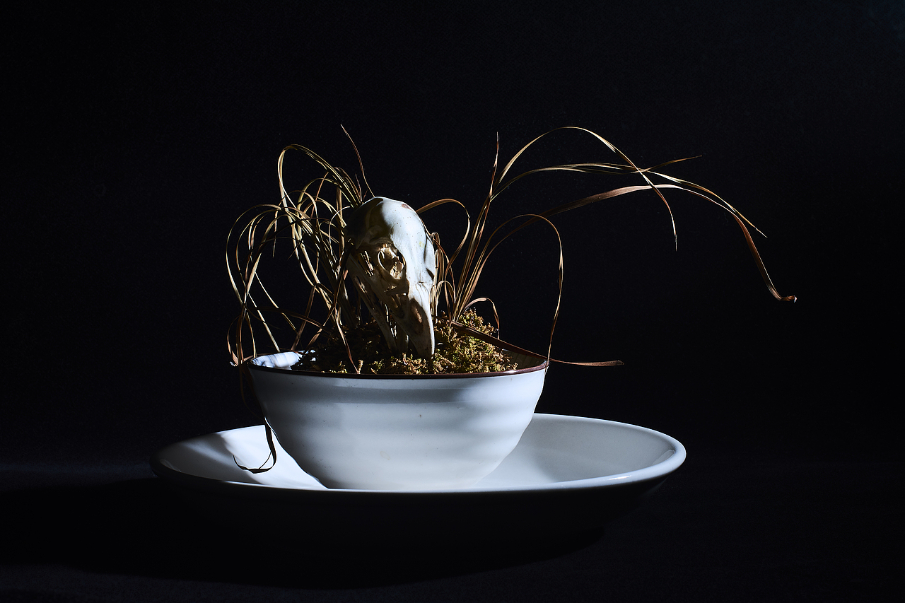 盘子系列-1|摄影|产品摄影|两间摄影工作室_原创作品-站酷(zcool)