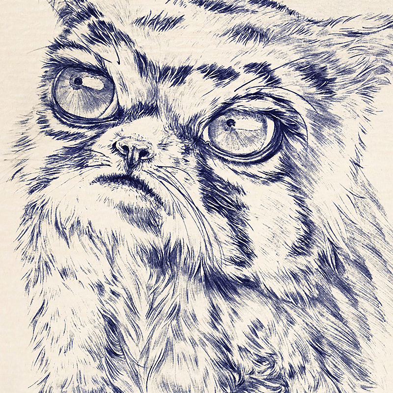 圆珠笔画猫科动物（图ZNDY4NTY3NDg=） - 艺术插画 - 站酷设计师BIUBIU已经被注册原创素材 - 站酷ZCOOL