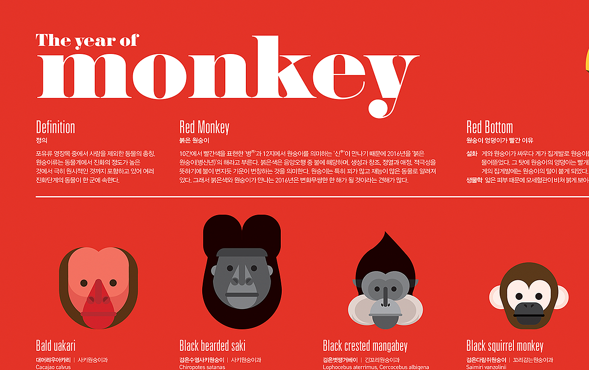 2016_01_猴子_Monkey【信息图表】