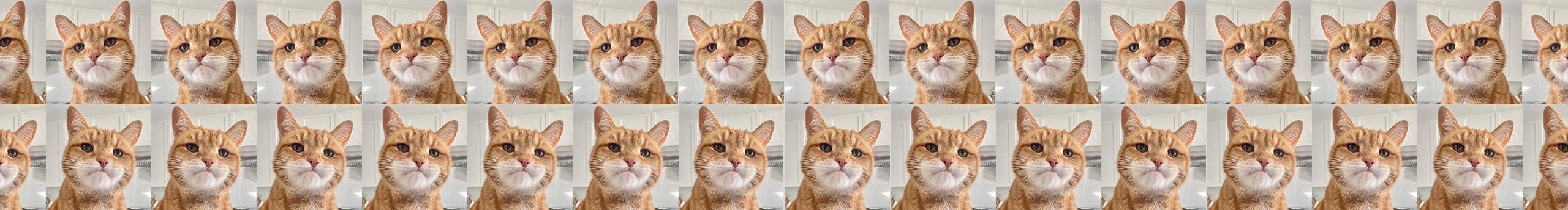 橘座DZ的個(gè)人主頁（封面預(yù)覽） - 主頁封面設(shè)置 - 站酷設(shè)計(jì)師橘座DZ原創(chuàng)素材 - 站酷ZCOOL