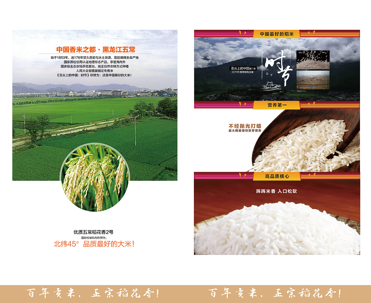 【五常大米】产品手册设计（图ZMjY5MjE5OTI=） - 书籍/画册 - 站酷设计师防晒锅原创素材 - 站酷ZCOOL