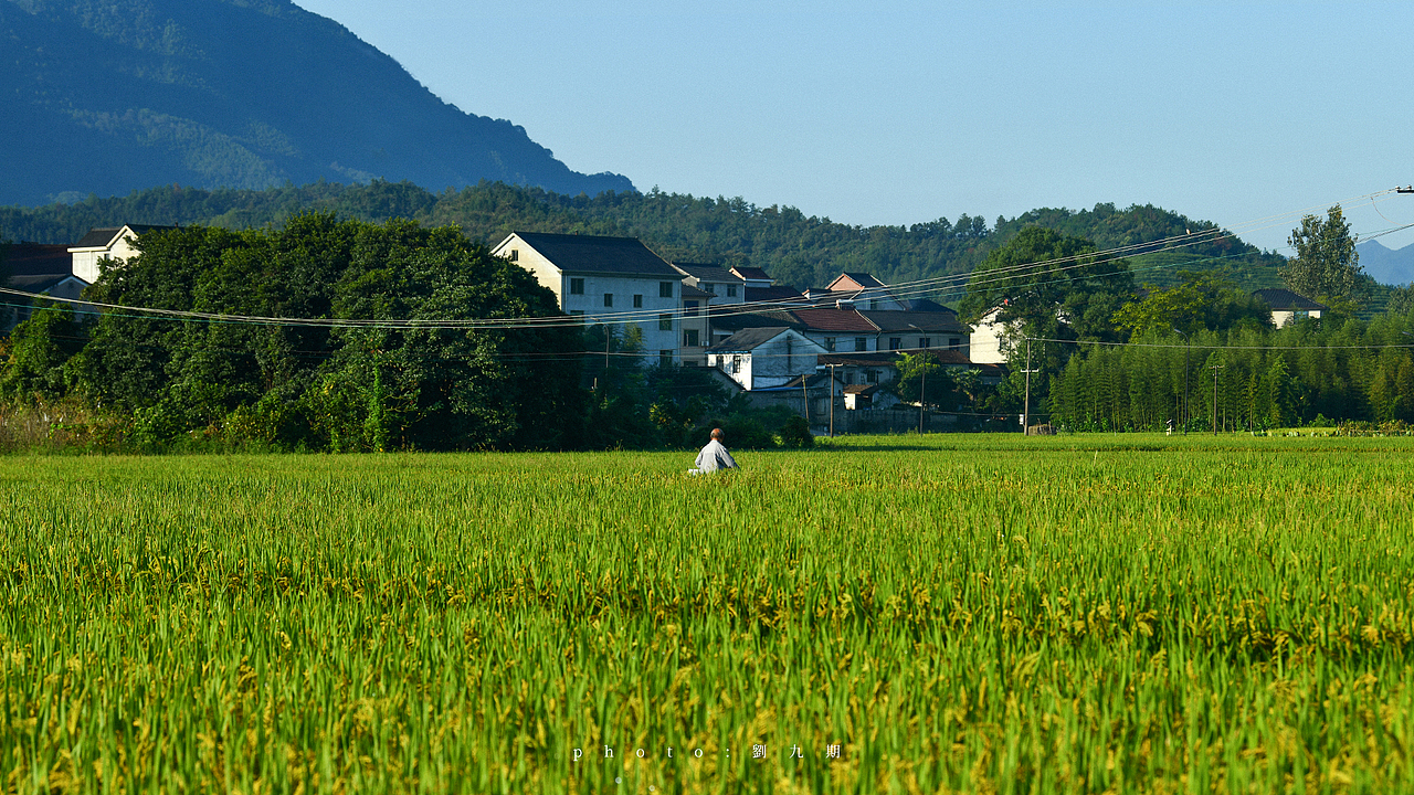 山过不来
我也过不去