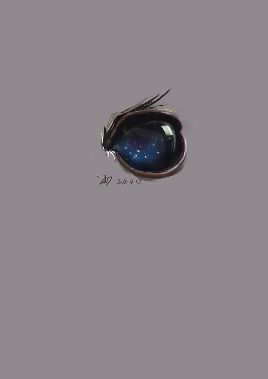 一只猫头鹰的 星空眼