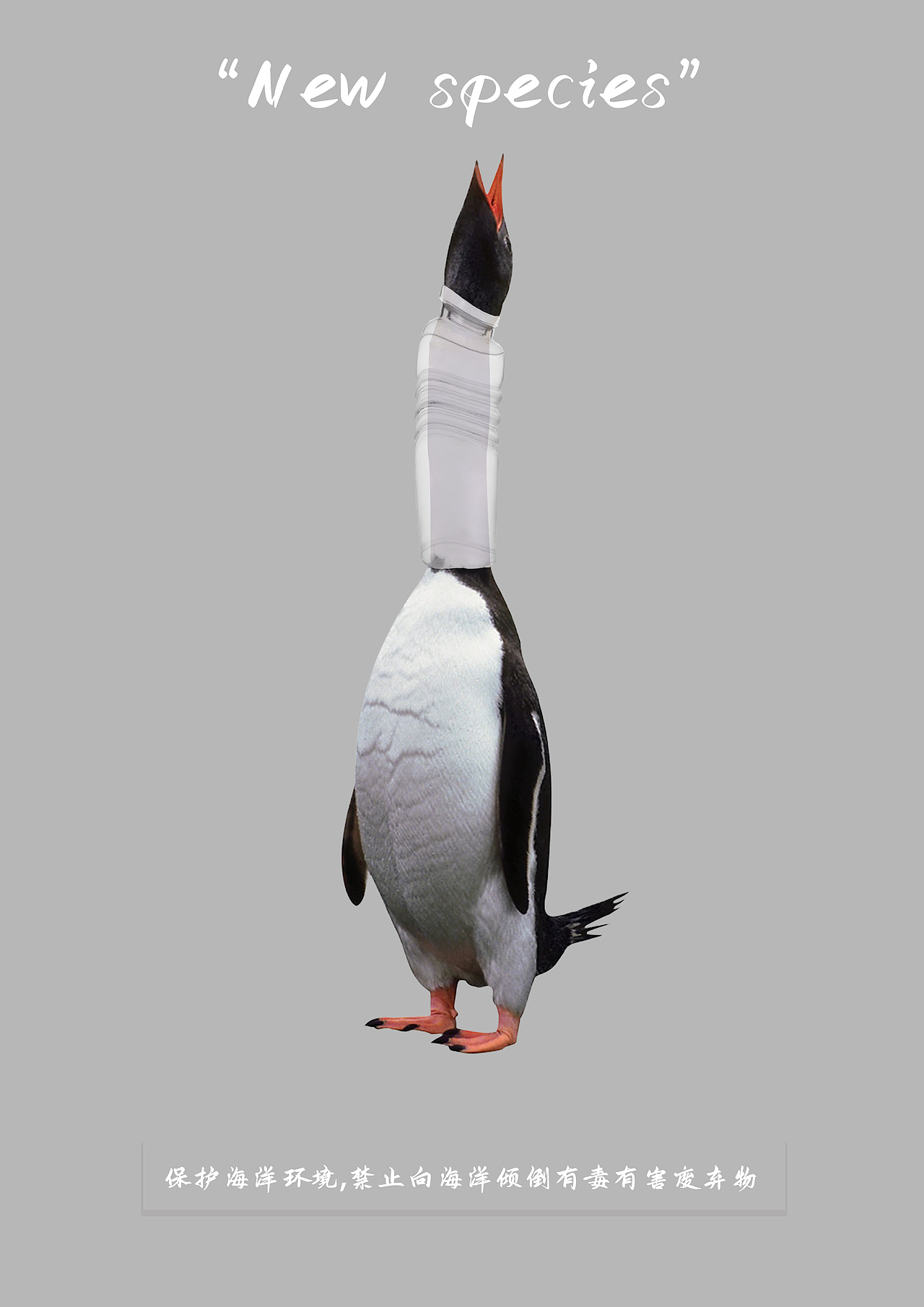 海洋新物种（图ZMjExODgwMjg0） - 海报 - 站酷设计师Zyan0306原创素材 - 站酷ZCOOL