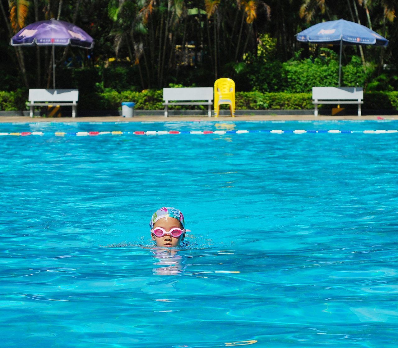 游泳赛场上的孩子们