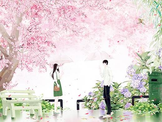 一些封面和练习