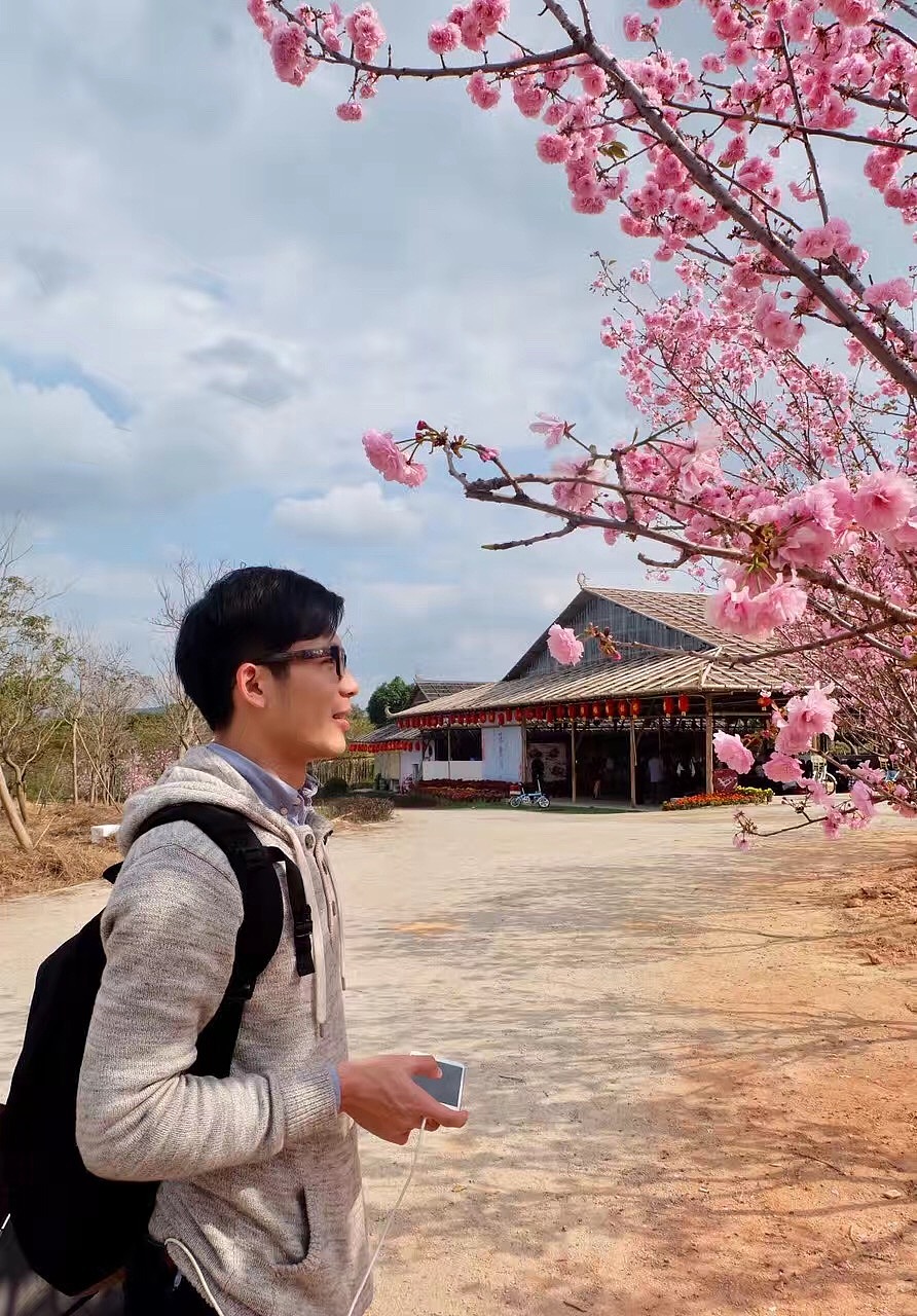 桃花涧&天适樱花