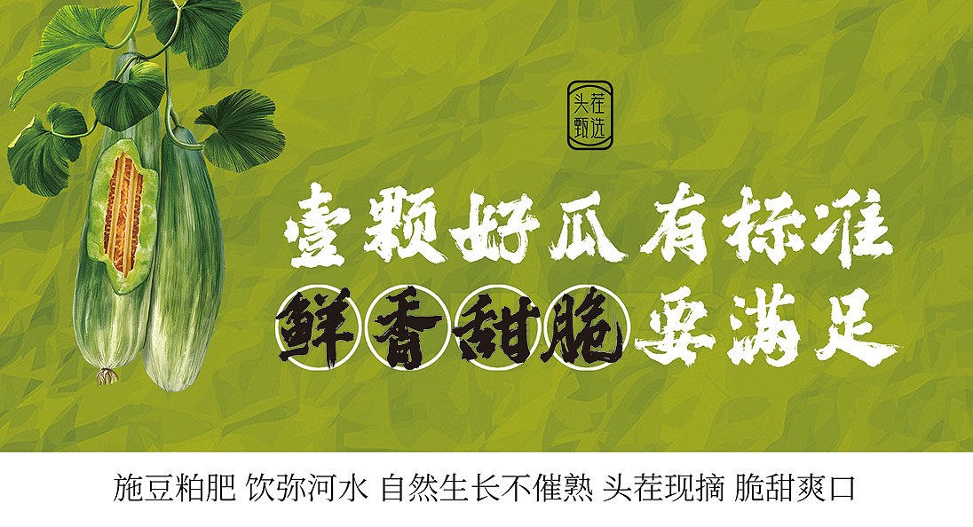 壹颗好瓜的甜瓜之旅