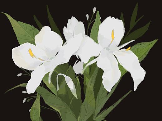 姜花