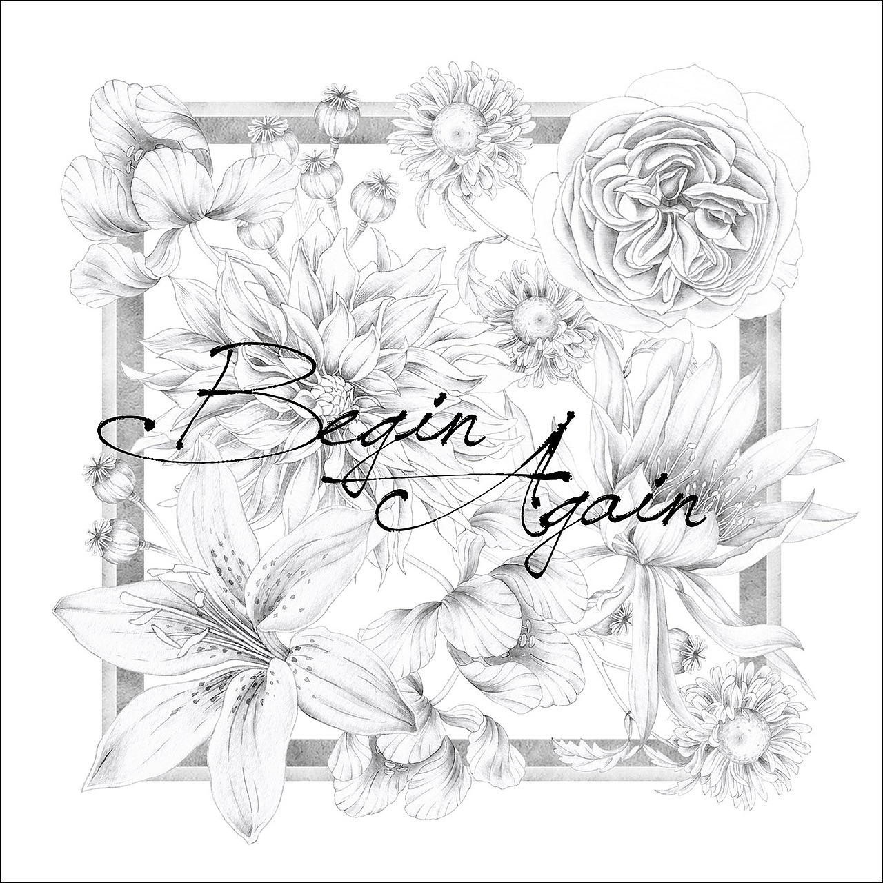 手绘植物篇(黑白花卉)