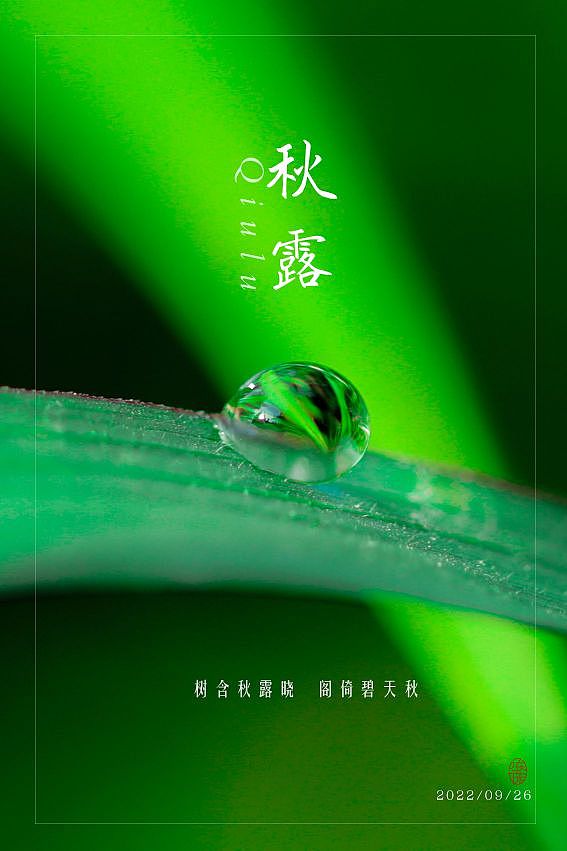 露水芬芳（图ZMzE4MDY0MDY0） - 风光摄影 - 站酷设计师木林森15原创素材 - 站酷ZCOOL