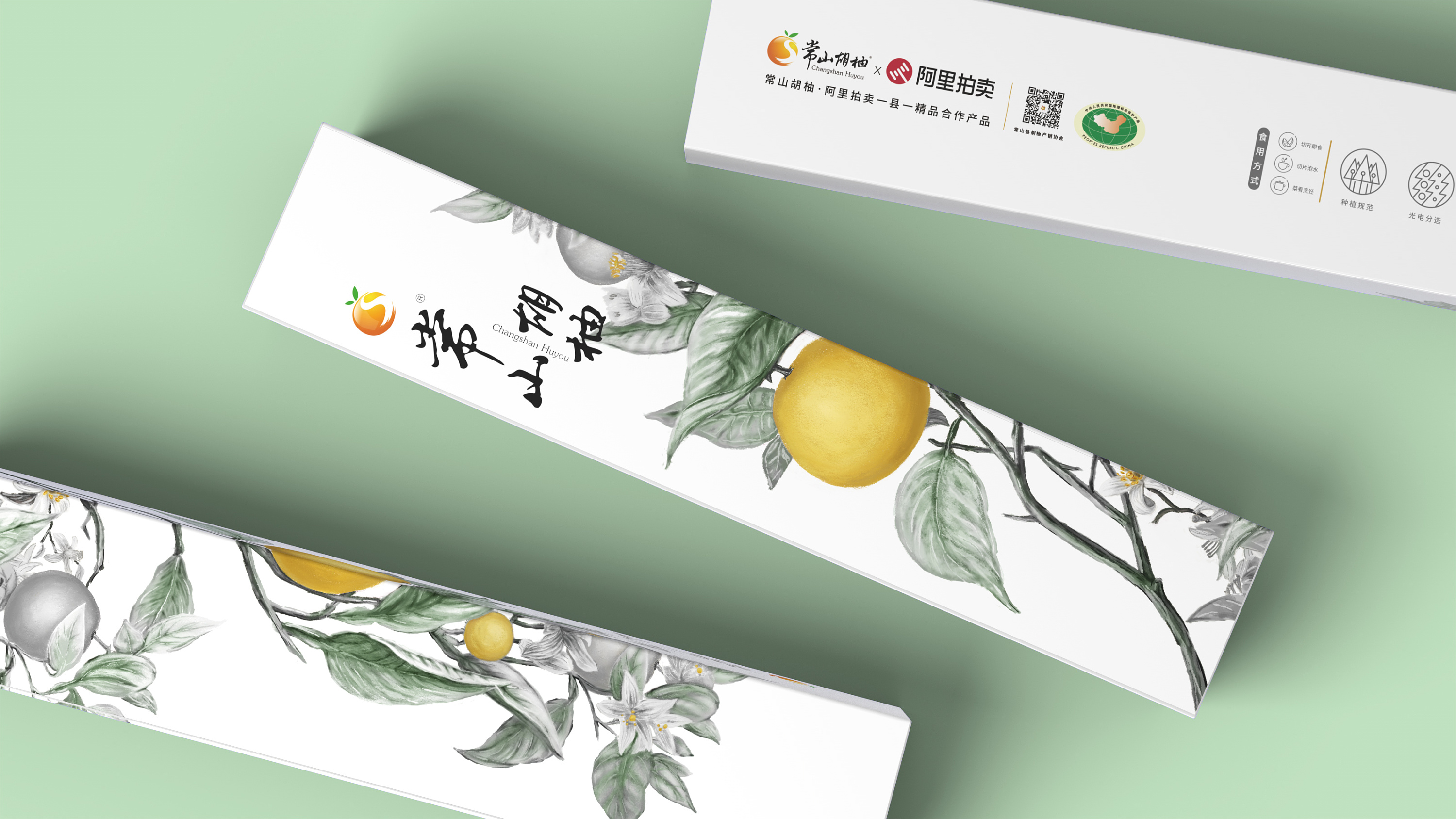 被一只水墨风的胡柚惊艳到,有内味了!