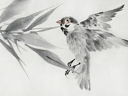 画