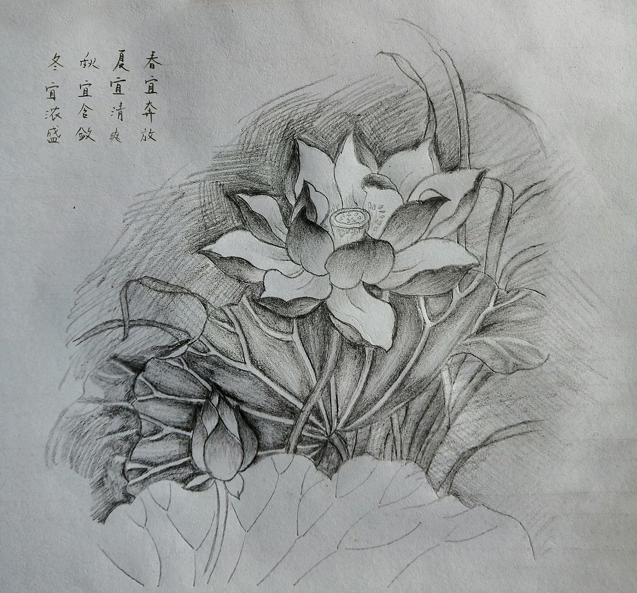莲花手绘（图ZMjIxMjk3NzQw） - 绘画 - 站酷设计师云天漫步原创素材 - 站酷ZCOOL