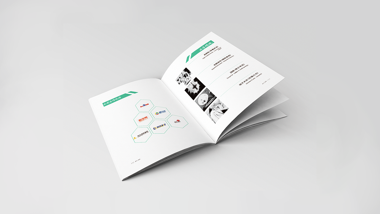 企业宣传册/画册设计（图ZMjgzNjMzMzUy） - 书籍/画册 - 站酷设计师由之文原创素材 - 站酷ZCOOL