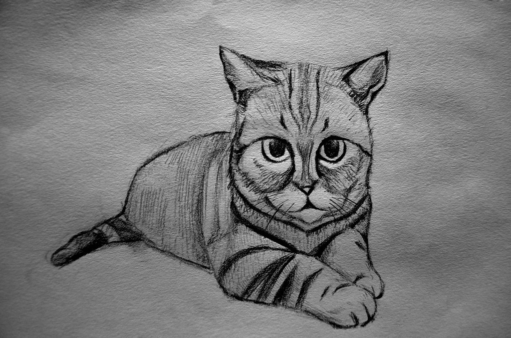 速寫集（圖ZMzMzMjA1MzI=） - 創(chuàng)作習(xí)作 - 站酷設(shè)計師卡通肚臍眼原創(chuàng)素材 - 站酷ZCOOL